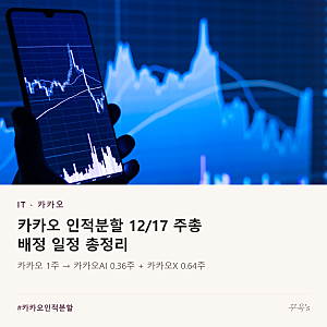 카카오 인적분할 12/17 주총, 배정 일정 총정리