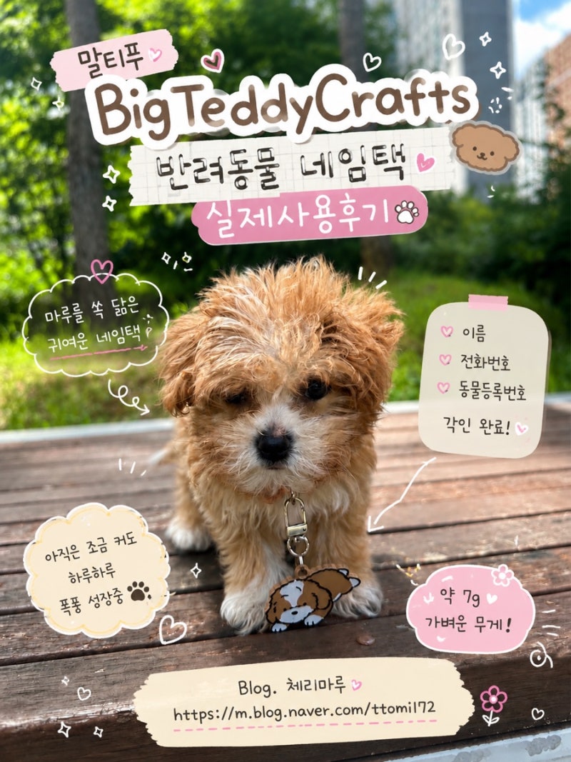 강아지 인식표 강아지 이름표 추천｜BigTeddyCrafts 반려동물 네임택