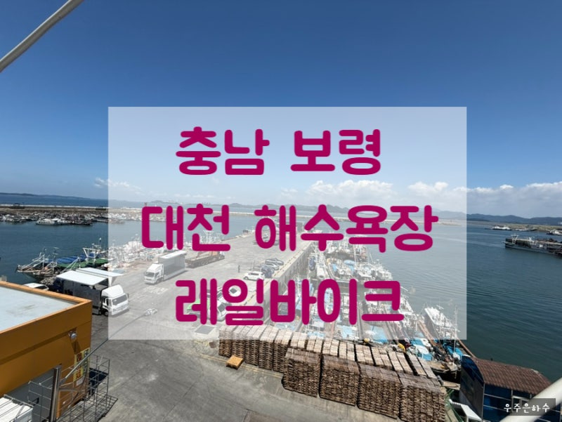 대천해수욕장 스카이바이크 예약 가격 보령 가볼만한곳 즐길거리
