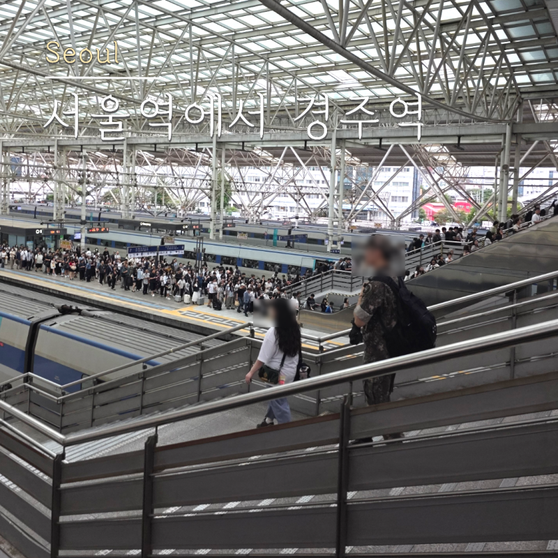 My Review of Taking the KTX from Seoul to Gyeongju: Tips for Seoul Station to Gyeongju Station