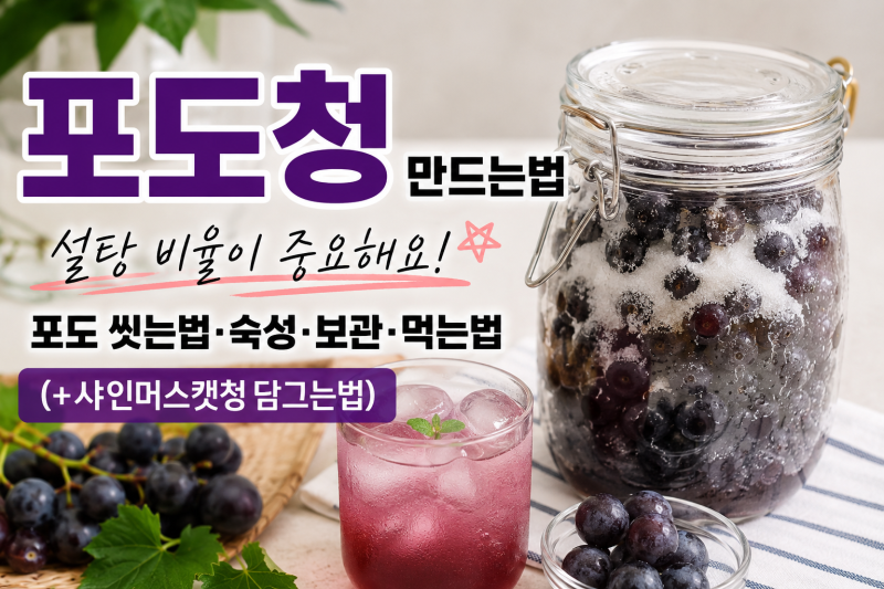 포도청 만드는법 l 설탕 비율이 중요해요! 포도 씻는법·숙성·보관·먹는법 (+샤인머스캣청 ....
