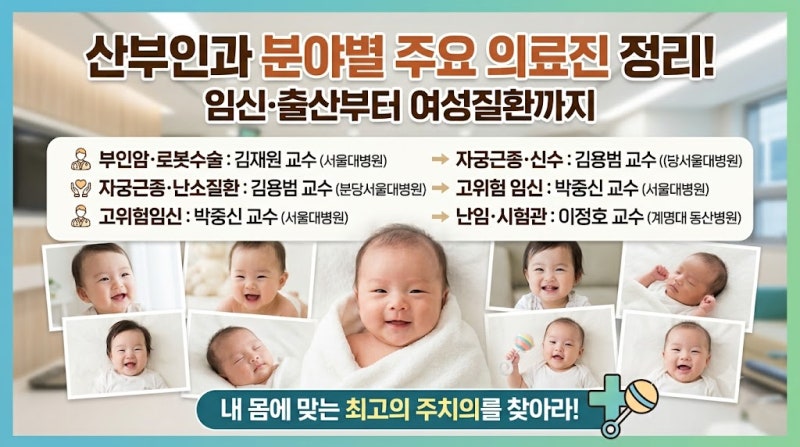 2026년 산부인과 분야별 명의 ,의료진 정리 부인암·근종·난임·고위험임신 병원 총정리