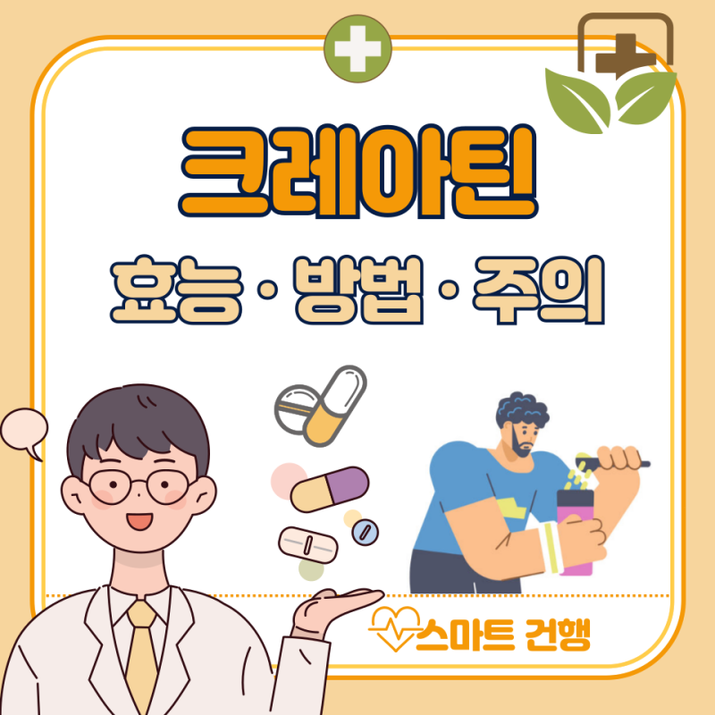 크레아틴 효과 효능, 부작용, 복용법 : 탈모