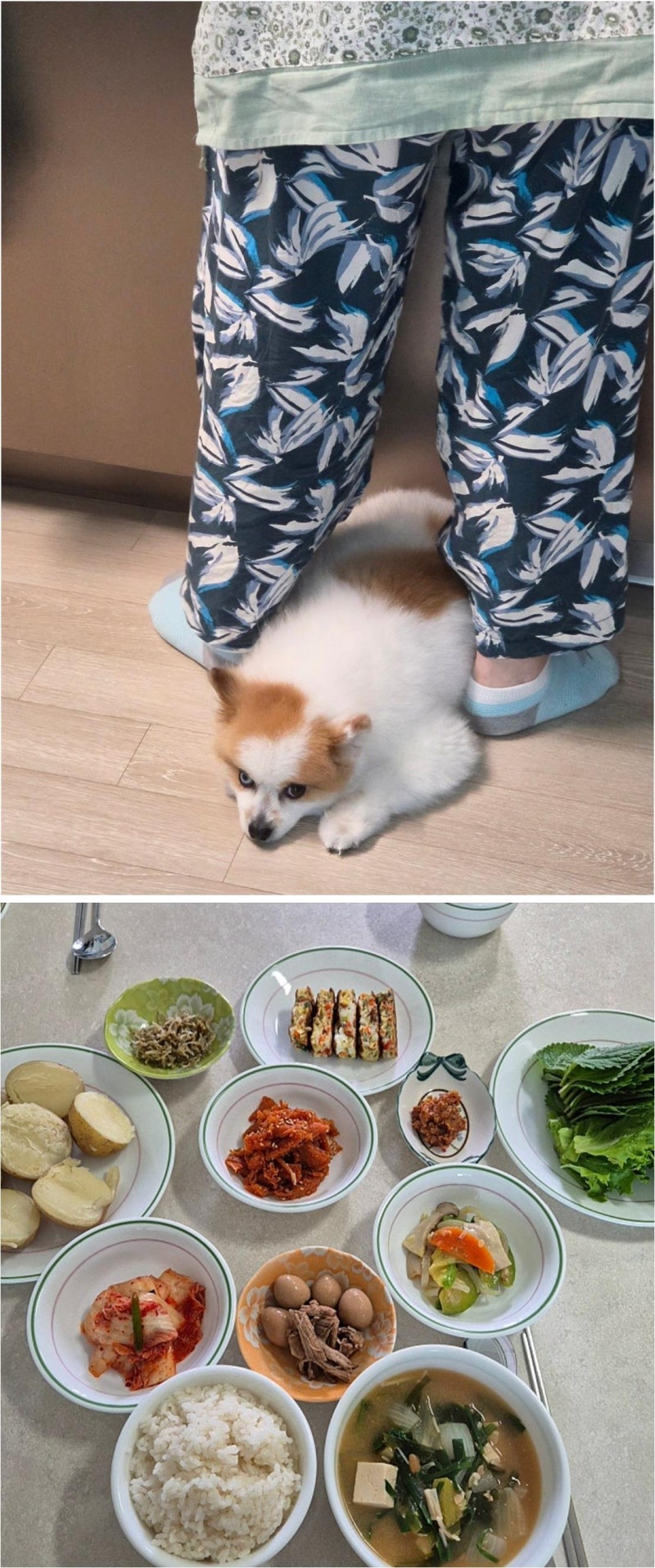 산후조리 고민이라면 대전산후도우미비용 확인과 맞춤 서비스로 마음 편하게