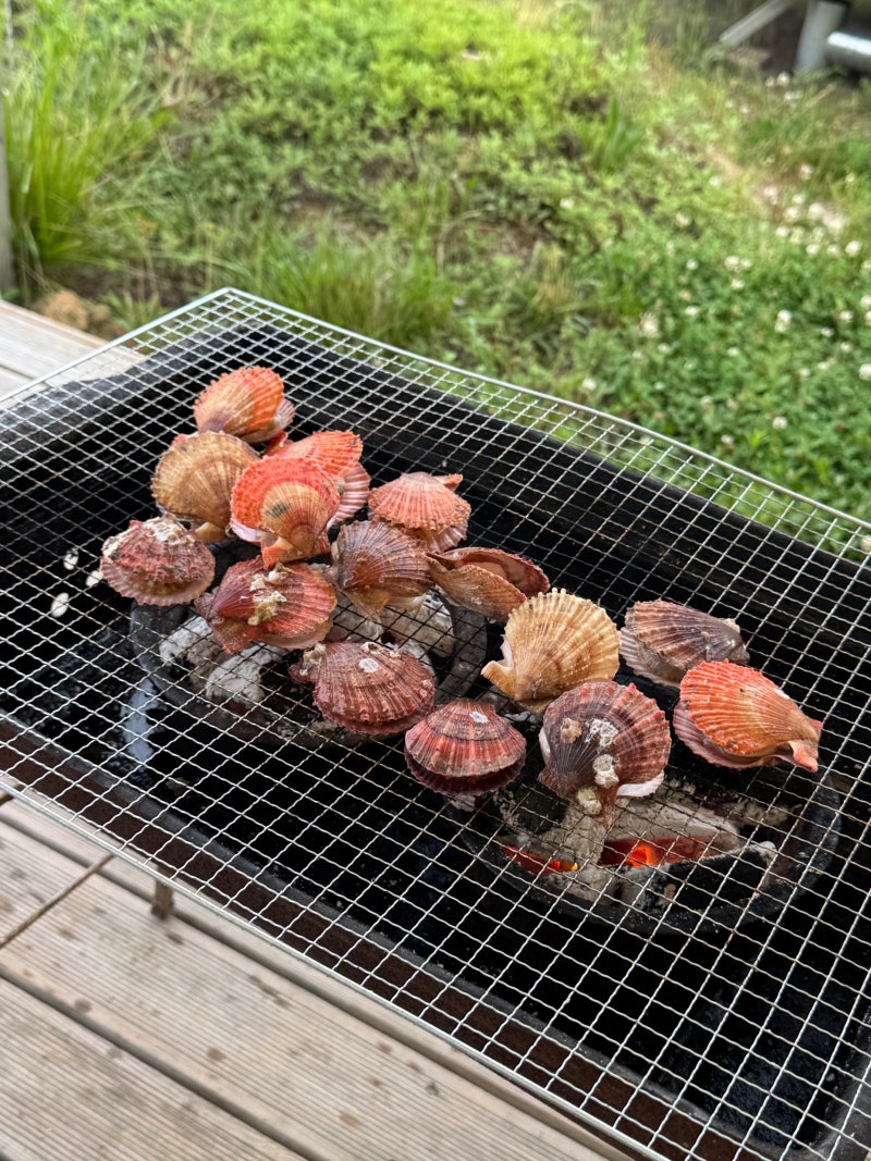 [을왕리 카라반] 왕산가족오토캠핑장 | 바다 바로 앞 카라반, 바베큐까지!(내돈내산)
