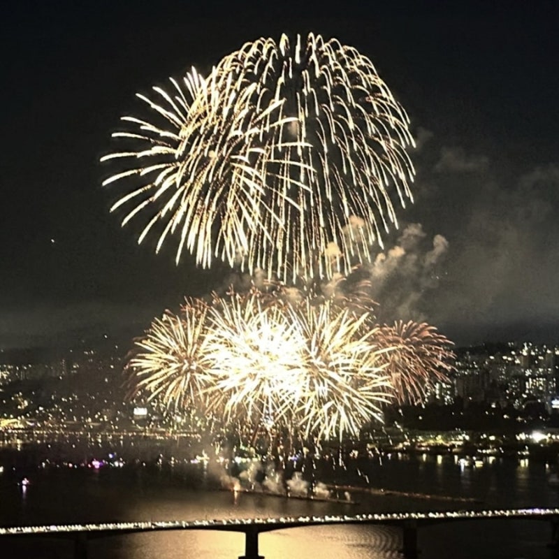 2026 여의도 불꽃축제 일정 시간 총정리! 명당 교통통제(ft. 한화와 함께하는 서울세계불꽃축....