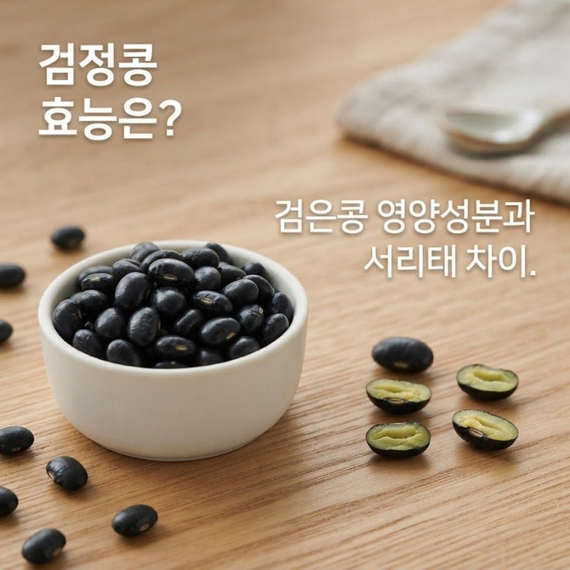 검정콩 효능은? 검은콩 영양성분과 서리태 차이