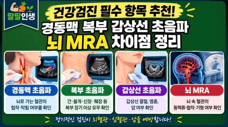 건강검진 필수 항목 추천! 경동맥 복부 갑상선 초음파 뇌 MRA 차이점 정리