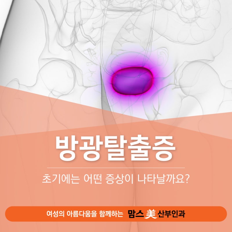 은평구 산부인과 방광탈출증, 초기에는 어떤 증상이 나타날까요?