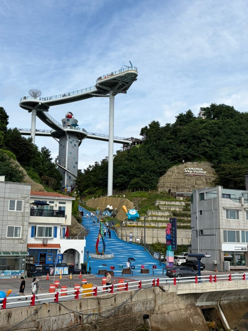 [묵호&삼척] 2박3일 여름휴가 여행