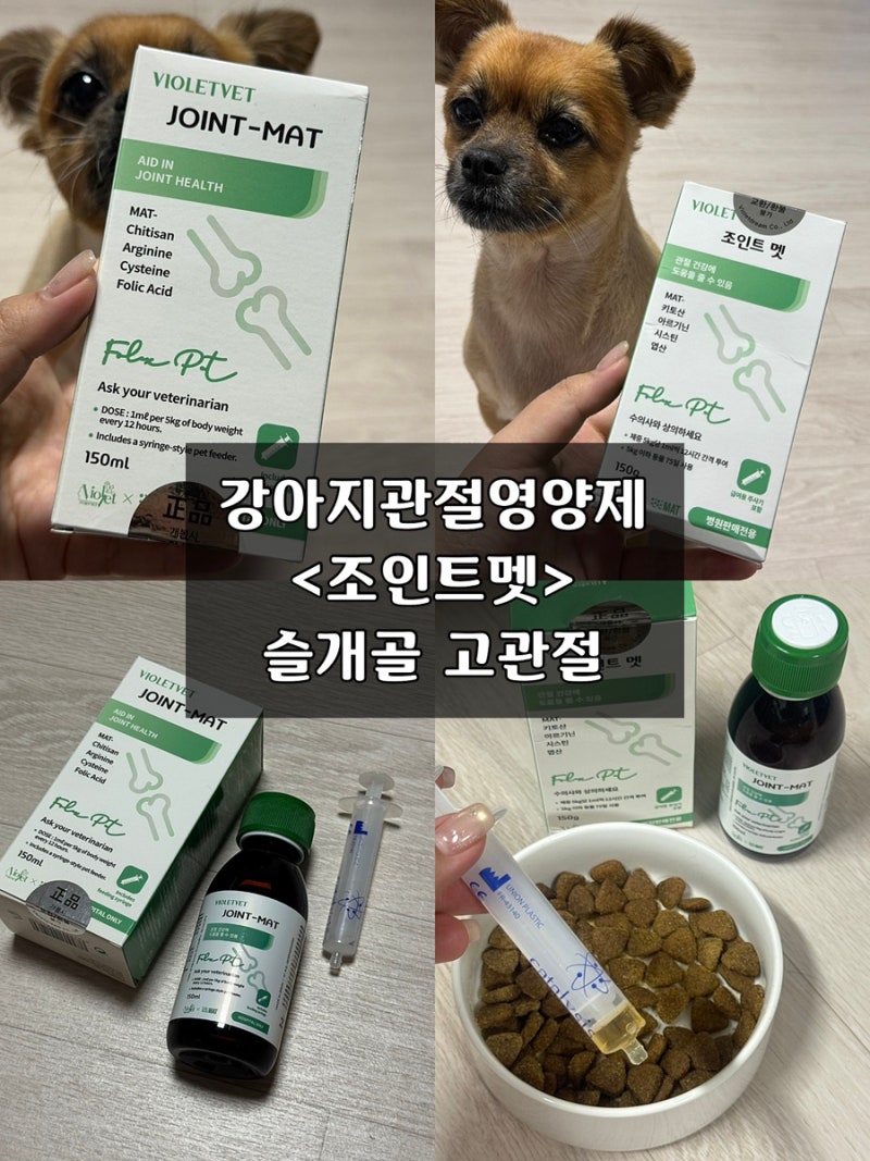 강아지관절영양제 슬개골 고관절