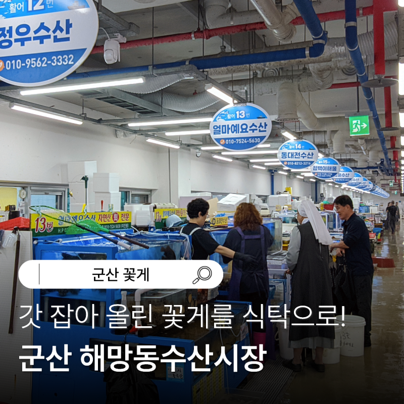 군산 꽃게 어디서 살까? 해망동 수산시장 꽃게 시세 구매 후기