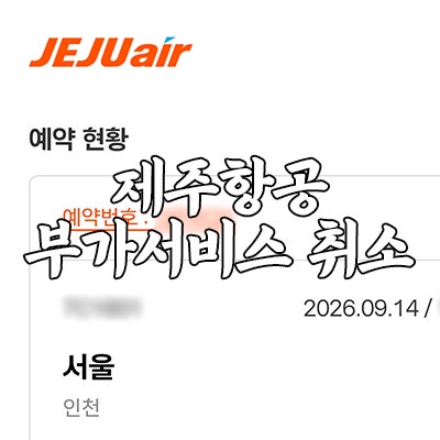 제주항공 부가서비스(여행자보험) 어플에서 취소하는 방법