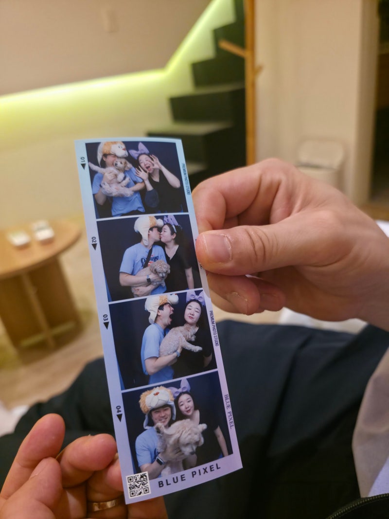 뚜벅이로 애견동반 2박3일 여수여행기, 1일차