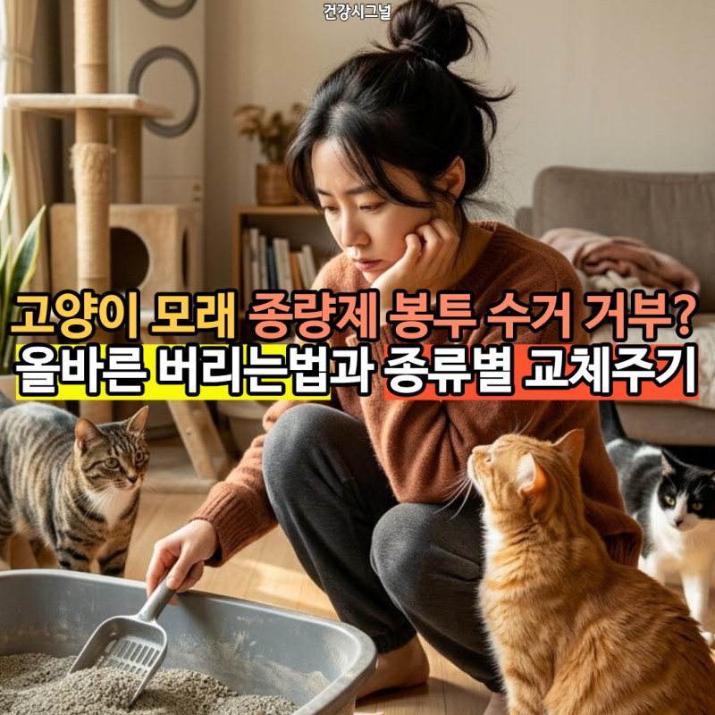 고양이 모래 버리는법 총정리, 종량제 봉투에 버리면 수거 거부됩니다