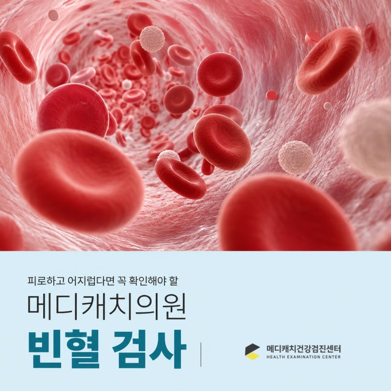 세종건강검진센터, 쉽게 피곤하고 어지럽다면 - 빈혈 검사 필요한 경우