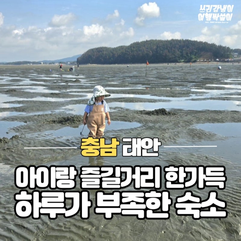 태안 펜션 데얼스테이 아이랑 갯벌체험 하루가 부족한 독채 숙소