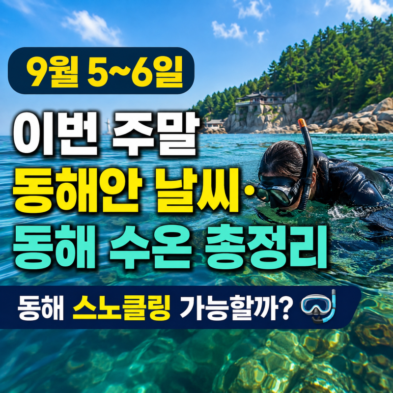 이번 주말 동해안 날씨·동해 수온 총정리 | 동해 스노클링 가능할까? (9월 5~6일)