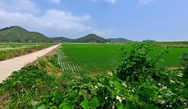 “상속받은 농지도 조사한다고?” 2026 농지 전수조사에서 상속농지는 이렇게 처리됩니다