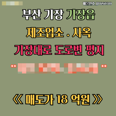 [매매]부산 기장군 기장읍 대로변 평지 창고 사옥 추천 공장 396㎡(120평) 하수직관연결 주차가능