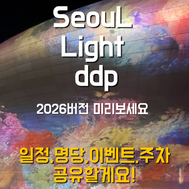 2026 서울라이트 DDP 명당 직접 다녀온 후기｜공연시간·주차·아이와 관람팁