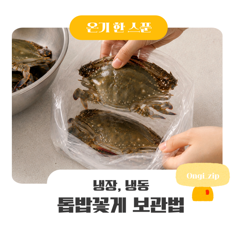 톱밥꽃게 보관법 며칠까지? 냉장 냉동 보관방법 정리