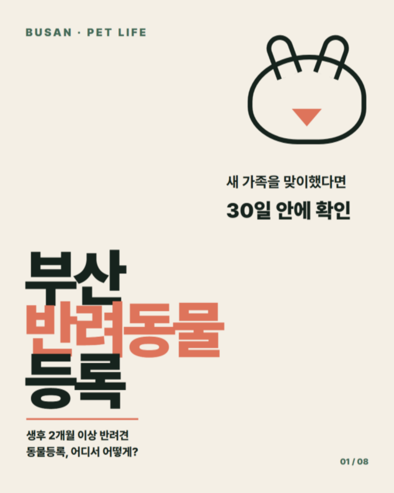 부산 반려동물 등록 방법 | 펫숍·유기견 입양 후 지원금까지