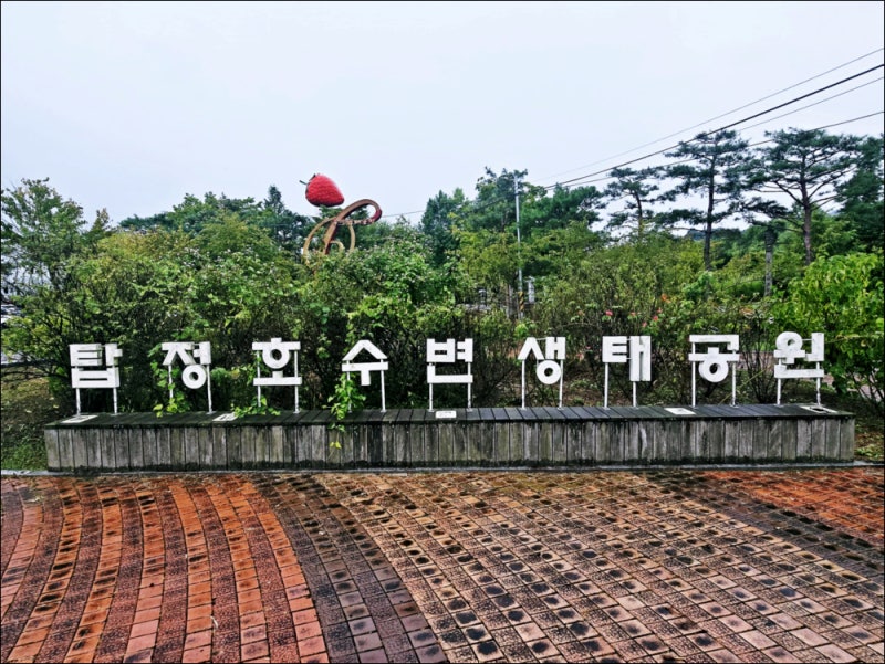 비오는날 여행 논산 가볼만한곳 탑정호 수변생태공원 논산 카페
