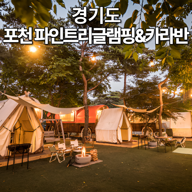 포천 파인트리글램핑 백운계곡 앞 온수 수영장 카라반 추천