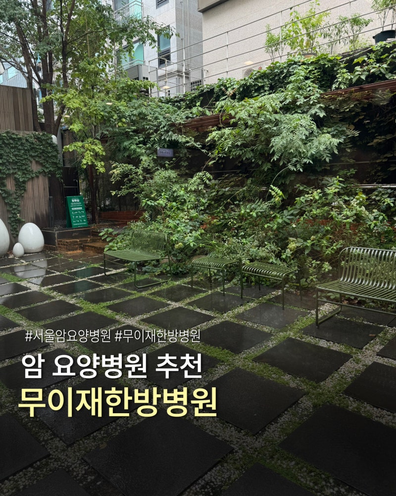 강남 무이재한방병원 추천 주차 비용 상담 후기｜직접 다녀와서 입원 결정