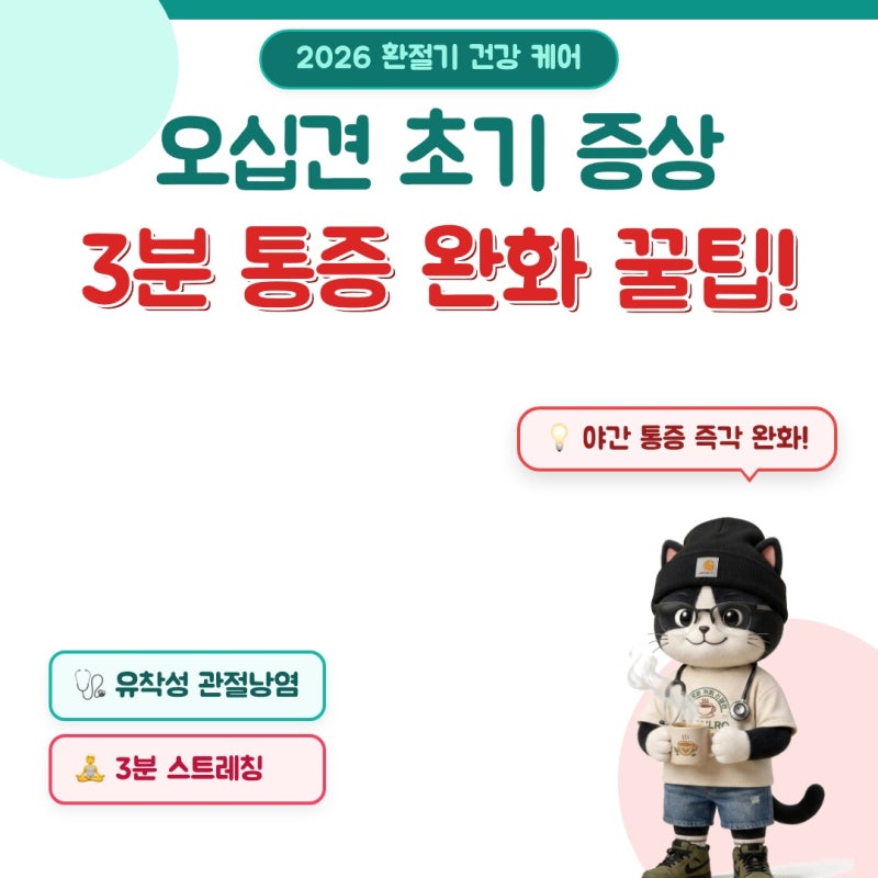 2026년 오십견 증상 초기 원인과 3분 만에 통증 잡는 즉각 완화 꿀팁