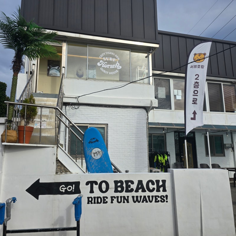【襄陽衝浪推薦】襄陽雪嶽海水浴場 Surf Horang，體育老師教導的人生第一次衝浪體驗！