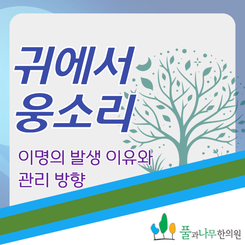 귀에서 웅소리 다른 사람에겐 들리지 않고 내게만 들리는 소리일까요?