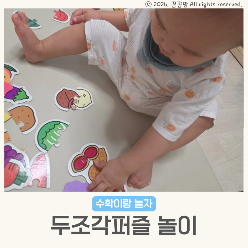 두조각퍼즐 애플비 시기 18개월아기놀이 동물 과일