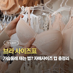 브라 사이즈표 가슴둘레 재는법, 자매사이즈 브래지어 컵 계산 살펴보기