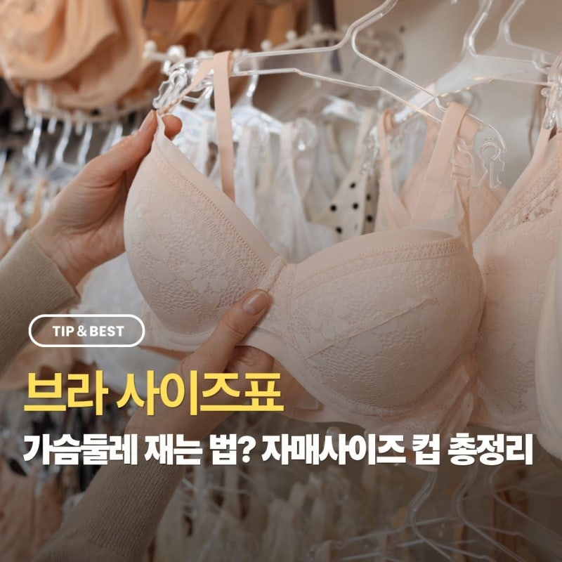 브라 사이즈표 가슴둘레 재는법, 자매사이즈 브래지어 컵 계산 살펴보기