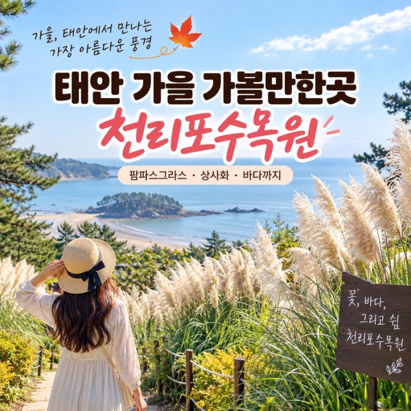 태안 가을 가볼만한곳 천리포수목원 팜파스 꽃구경