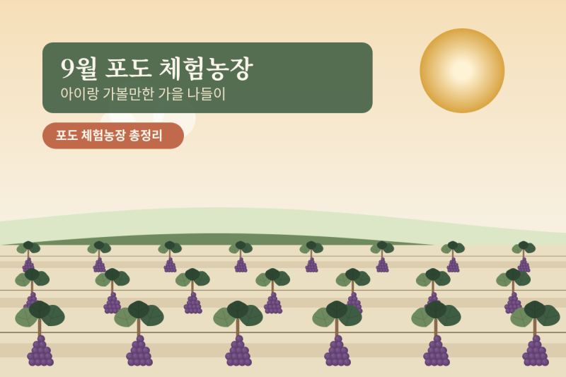 포도 체험농장 추천 총정리ㅣ가격·예약법·주의사항