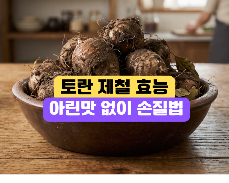 토란 제철 시기와 효능, 버릴 것 없는 토란줄기 효능 아린맛 없애는 손질방법