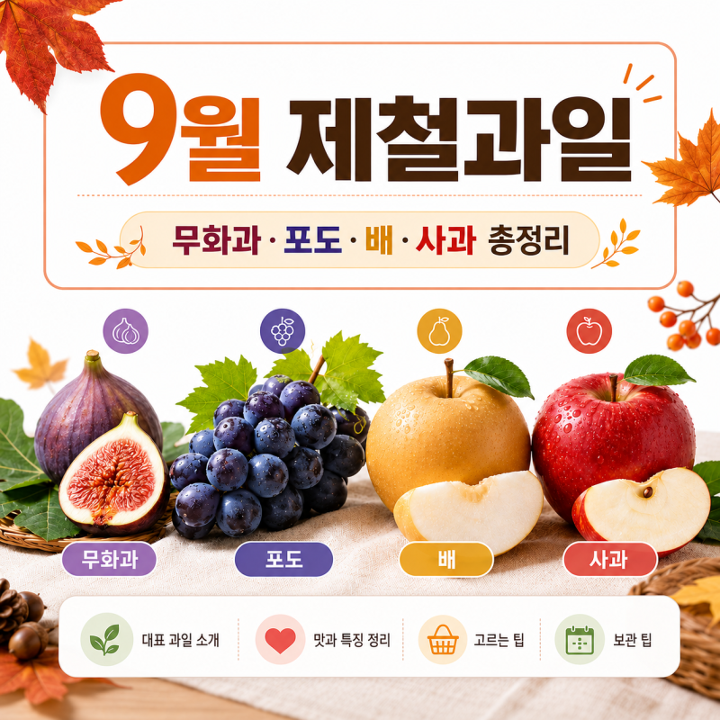 9월 제철과일 종류 무화과·포도·배·사과 등 가을 과일 총정리