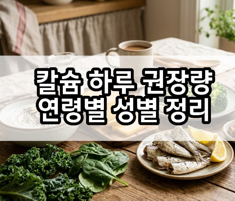 칼슘 하루 권장량 연령별 총정리! 흡수율 올리는 영양제 조합