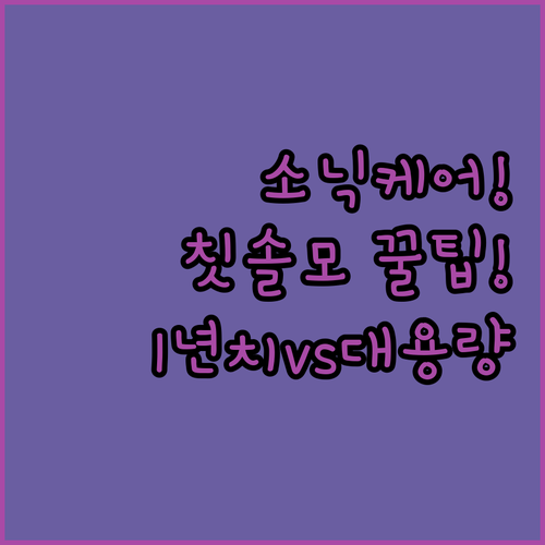 필립스 소닉케어 전동칫솔모 추천 혼자 쓸 1년치와 가족용 대용량 패키지 선택 기준
