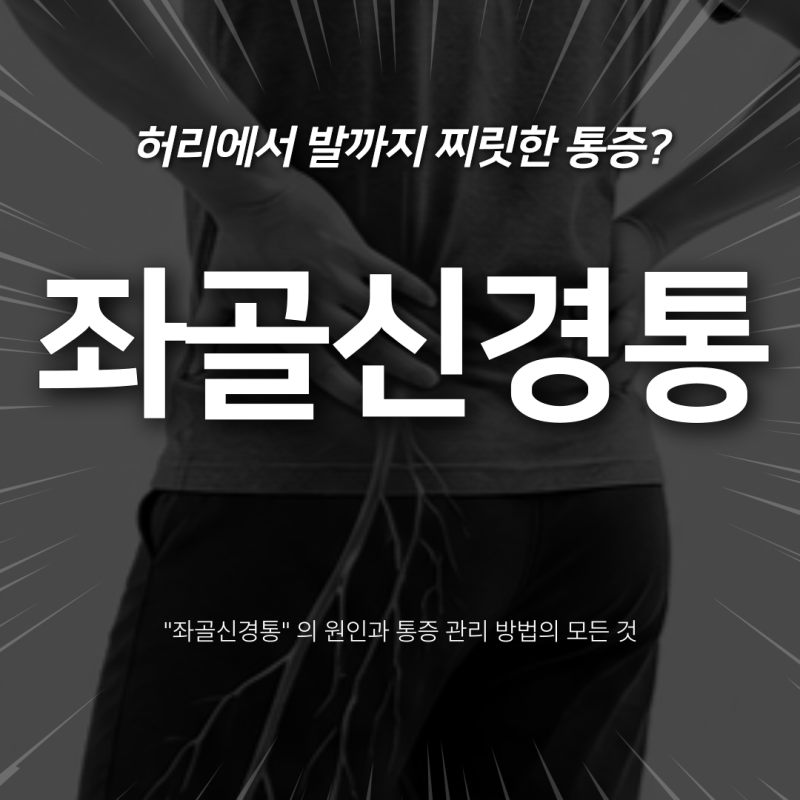 좌골신경통 원인부터 스트레칭 마사지 통증 관리 방법