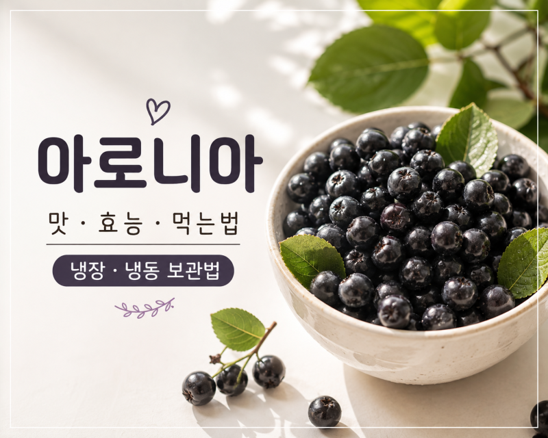 아로니아 효능·먹는법부터 떫은맛 이유와 냉장·냉동 보관법까지