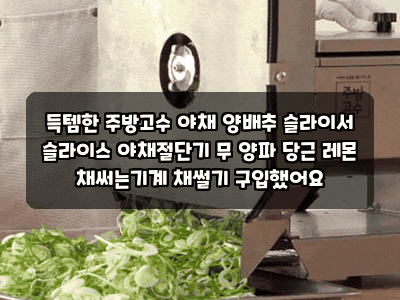 득템한 주방고수 야채 양배추 슬라이서 슬라이스 야채절단기 무 양파 당근 레몬 채써는기계 ....