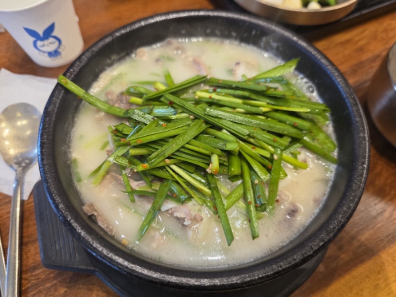 부산 광안리 돼지국밥 맛집 광안 제일 돼지 국밥 광안 본점 웨이팅 후기