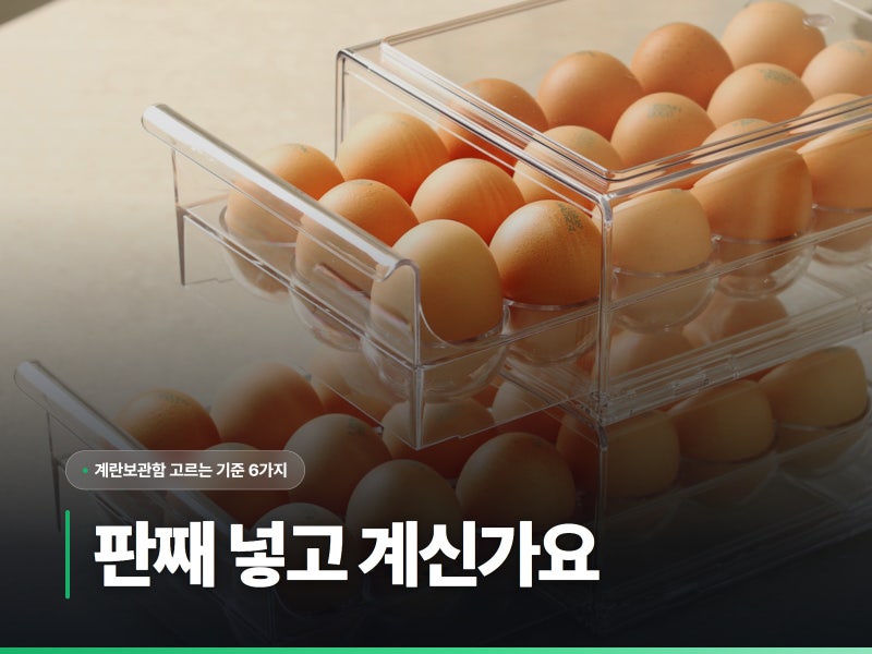 냉장고에 계란판째 넣고 계신다면 계란보관함은 이렇게 고르세요