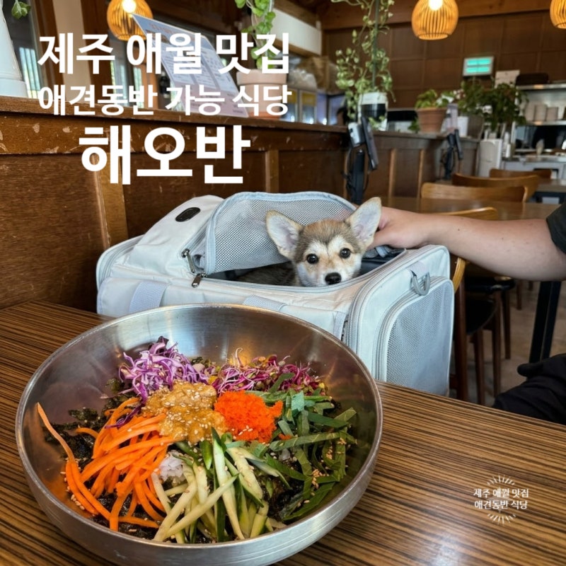 제주 애월 애견동반 식당 옥돔구이와 성게알비빔밥 맛집 해오반