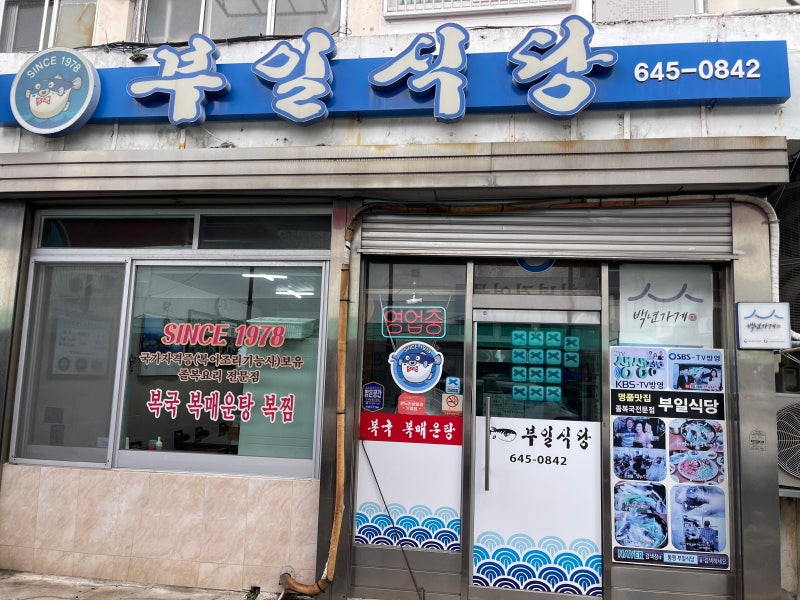 부일식당 통영 [통영 복국]