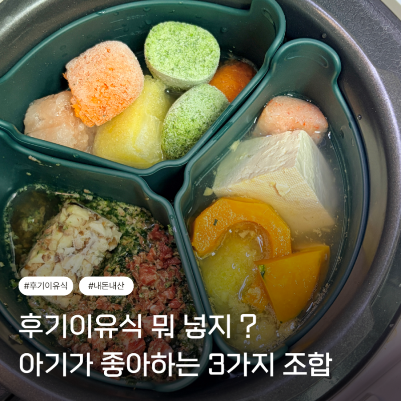 10개월 아기 후기 이유식 조합 추천 소고기 닭고기 게살 3가지 레시피